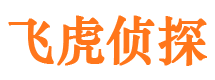 简阳市调查公司